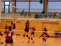 8. Spieltag U18 Damen VB